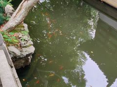 -复旦大学附属华山医院(总院)