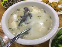 -全乐鱼馆·淳牌有机鱼直营店