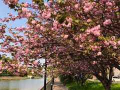 -复旦大学附属华山医院(浦东院区)