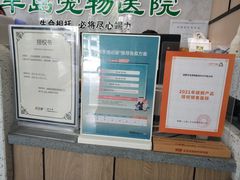 -半岛宠物医院24小时(科华中路店)