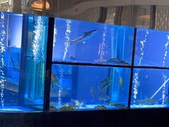 -王家渡火锅店(棕榈泉店)