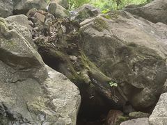 -陕西省红河谷森林公园