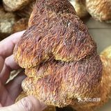 你能猜出这是什么吗？