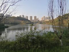 -重庆彩云湖湿地公园