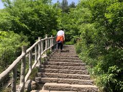 -皇藏峪国家森林公园