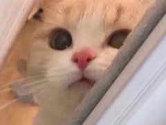 -舌尖上的食缘花园主题餐厅