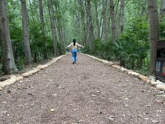 -合肥滨湖国家森林公园