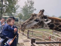 -西安秦岭野生动物园