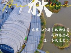 -泗洪洪泽湖湿地景区