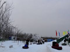 -西青郊野公园