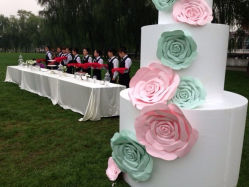 iphone_upload_pic-保定金沙芝柏婚礼策划