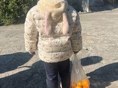 -前小桔亲子创意农场·草莓采摘·露营烧烤