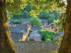 -杨家堂村