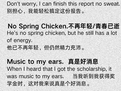 -菠萝国际教育专注Alevel·IGCSE·IB·AP·托福雅思培训辅导(静安校区)