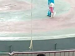 -石家庄市动物园