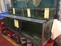 水产区-广宁炭炉鸡煲·富临门饭店