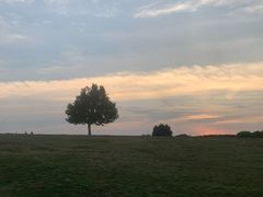 -王二爷药膳鸡(仙林学衡路店)