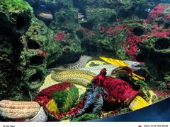 -泉城欧乐堡海洋极地世界