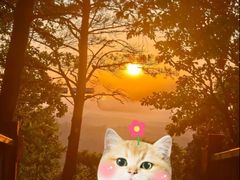 -帽儿山国家森林公园