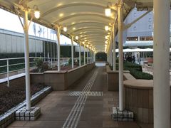 -东京湾希尔顿酒店