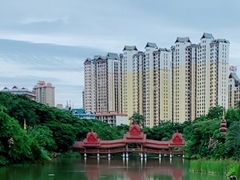 -西双版纳原始森林公园