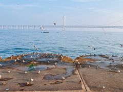-星海广场