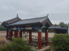 -洛龙公园
