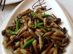 乳瓜鸡枞菌-马凯餐厅(长椿街店)