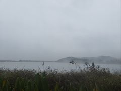 -东湖落雁景区