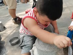 -前小桔亲子创意农场·草莓采摘·露营烧烤