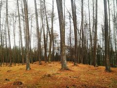 -硗碛藏寨·神木垒景区