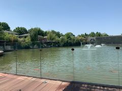 -春晖园度假酒店温泉