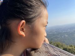 -紫金山山顶公园