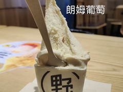 -野人先生现做冰淇淋(北京顺义祥云小镇店)