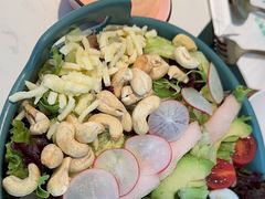 普罗旺斯彩虹伯考沙拉-ins森林童话餐厅coffee&bistro