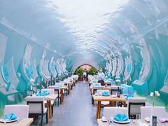 -涛·海底餐厅·美人鱼·自助餐·海底隧道(三亚海棠湾洲际度假酒店)