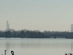 -武清南湖绿博园