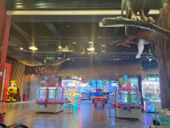 -卡通尼·Safari非洲探索乐园·生日会(金桥国际商业广场店)