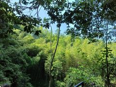 -千泷沟大瀑布旅游区