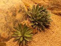 -OUR Bakery(SKP-S店)