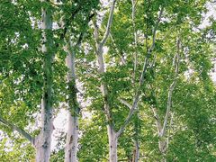 -东湖听涛景区