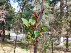 -宣武艺园