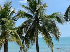 -三亚南山文化旅游区