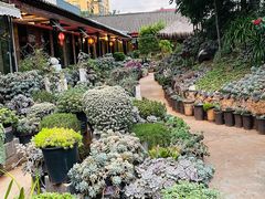 -山菌美食苑(振兴路店)
