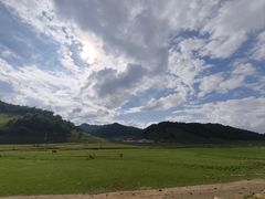 -关山草原