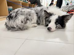 -绿壁虎攀岩基地(Tcar店)