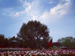 -石家庄市植物园