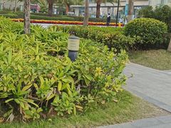 -南方医科大学深圳医院
