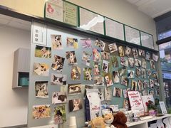 -爱妮康宠物医院·干细胞免疫细胞·肿瘤·心脏(张江店)