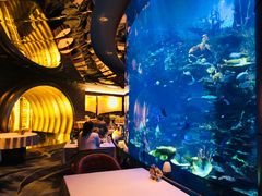 -迪拜帆船酒店海底餐厅